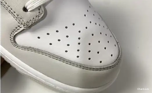Dust" Dunk "Photon Nike Low DD1503-103 0622